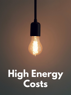 Survey on High Energy Costs