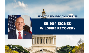 Wildfire Recovery 