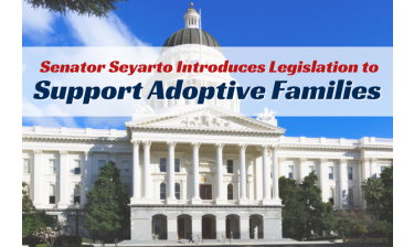 Adoption Bill