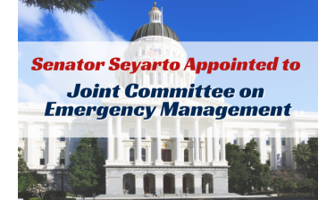 Appointment to joint emergency mgmt committee