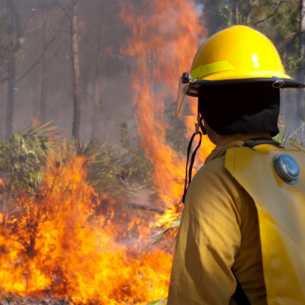 Wildfire Resources