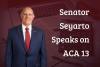 Senator Seyarto Speaks on ACA 13, Voting Thresholds for Taxation