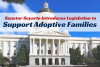 Adoption Bill