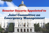 Appointment to joint emergency mgmt committee